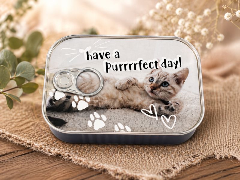 Metalen blikje cadeau met treklip en katten design