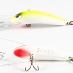 Brolga - 06 - Whitetruese