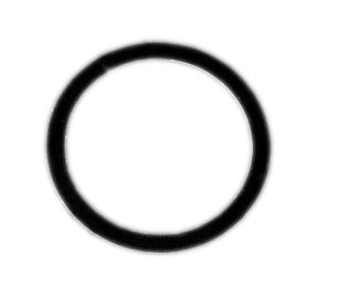 HOLLEYFuel Inlet Fitting Gasket