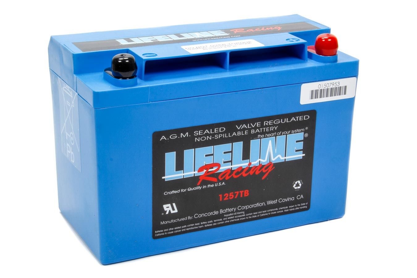 LIFELINE BATTERYPower Cell Battery 9.78 x 4.97 x 6.83