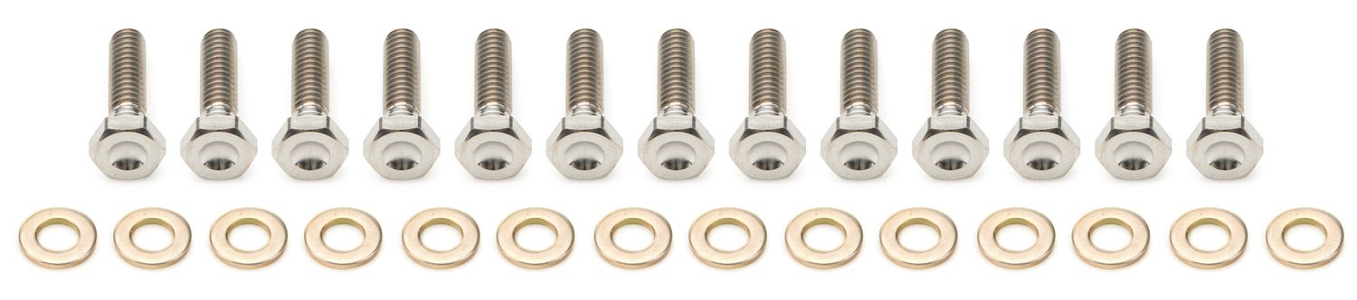 KEIZER ALUMINUM WHEELS, INC.10in Beadlock Bolt Kit Titanium