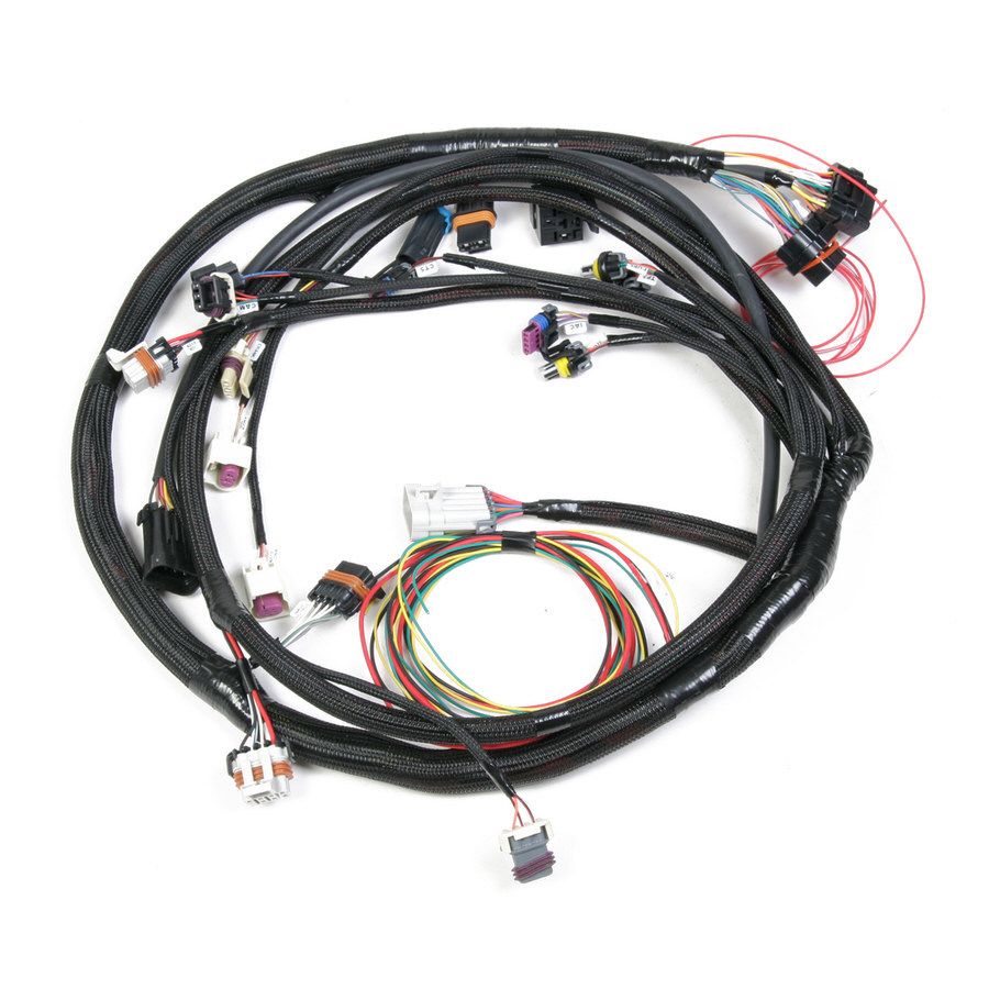 HOLLEYMain Harness - Universal MPFI