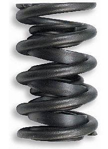 LUNATI1.440in Valve Springs