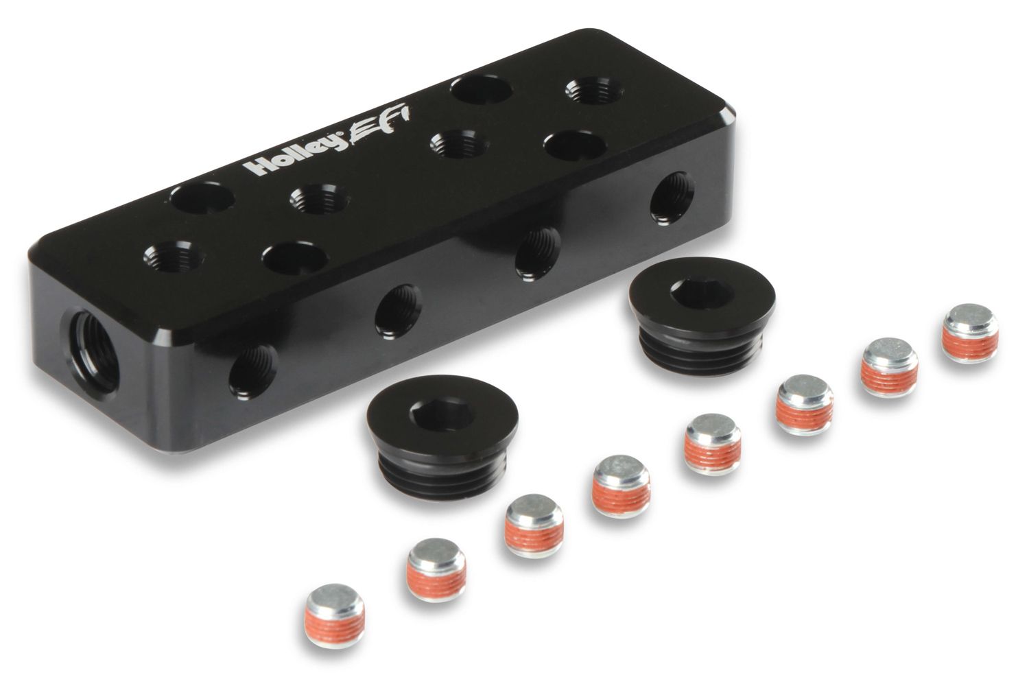 HOLLEYEFI Vacuum Manifold - w/12 1/8npt Ports