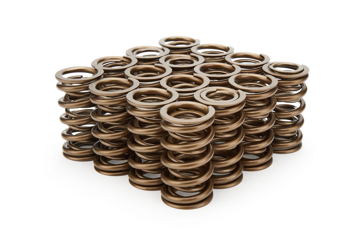 PAC RACING SPRINGS1.374 Dual Valve Springs - (16)