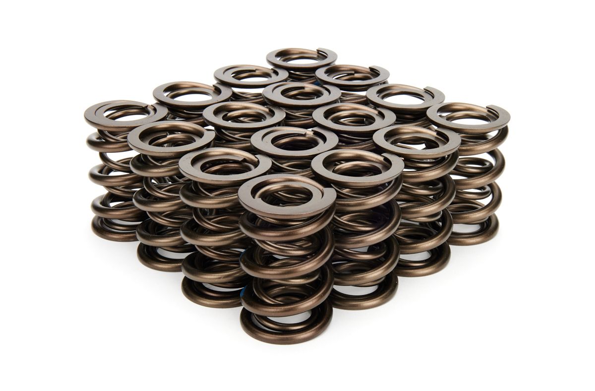 MANLEY1.640 Dual Valve Springs