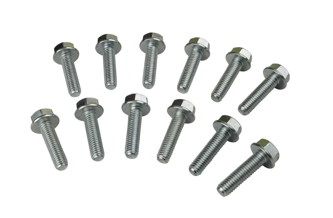 MOROSOBolt Kit GM LS Rear Seal Cover