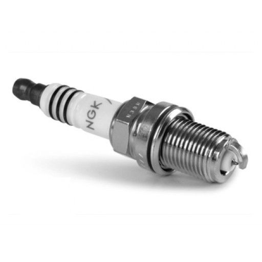 NGKNGK Spark Plug Stock # 4462