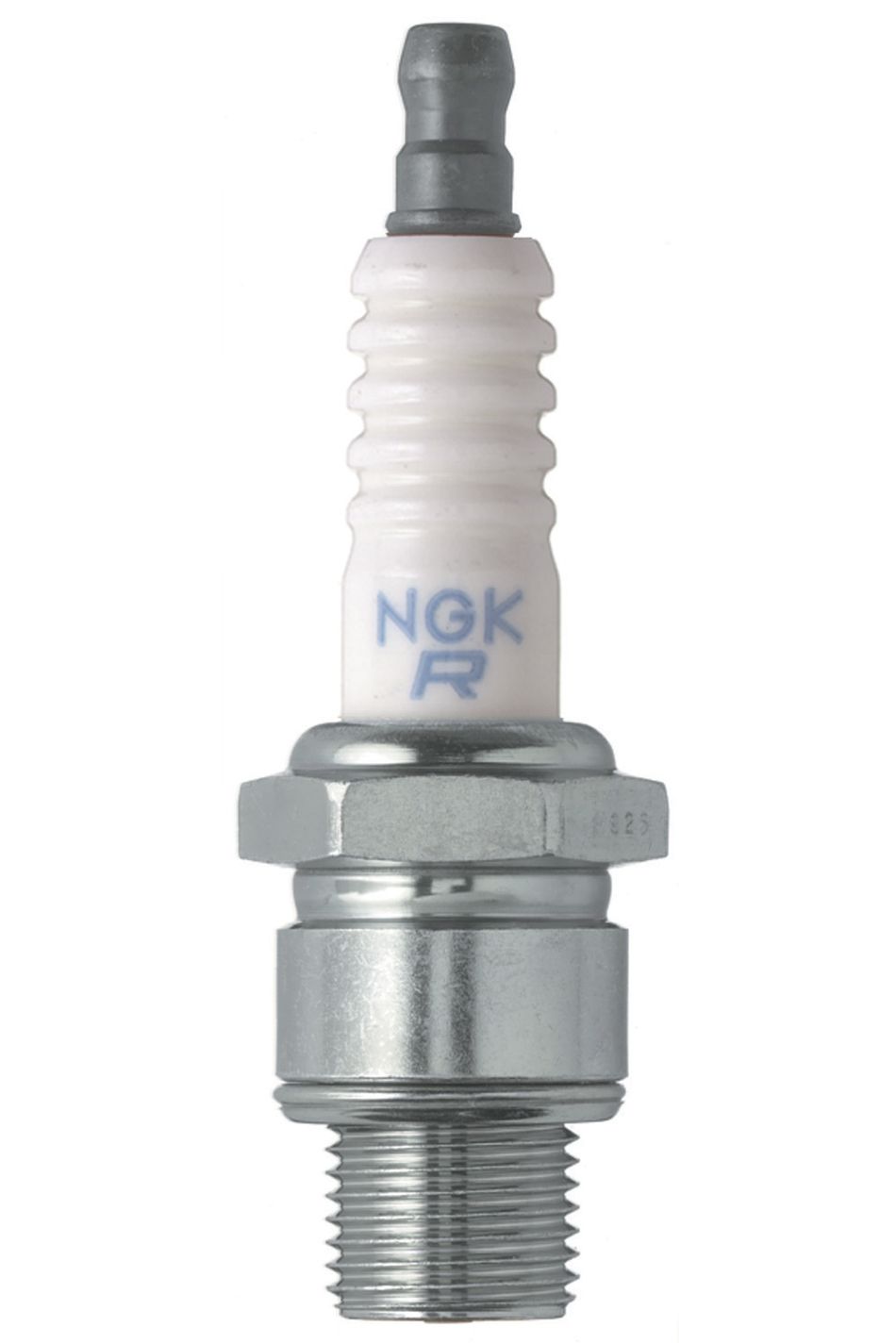 NGKNGK Spark Plug Stock # 7447 (Marine)