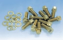 MILODONSb Chevy Intake Bolts