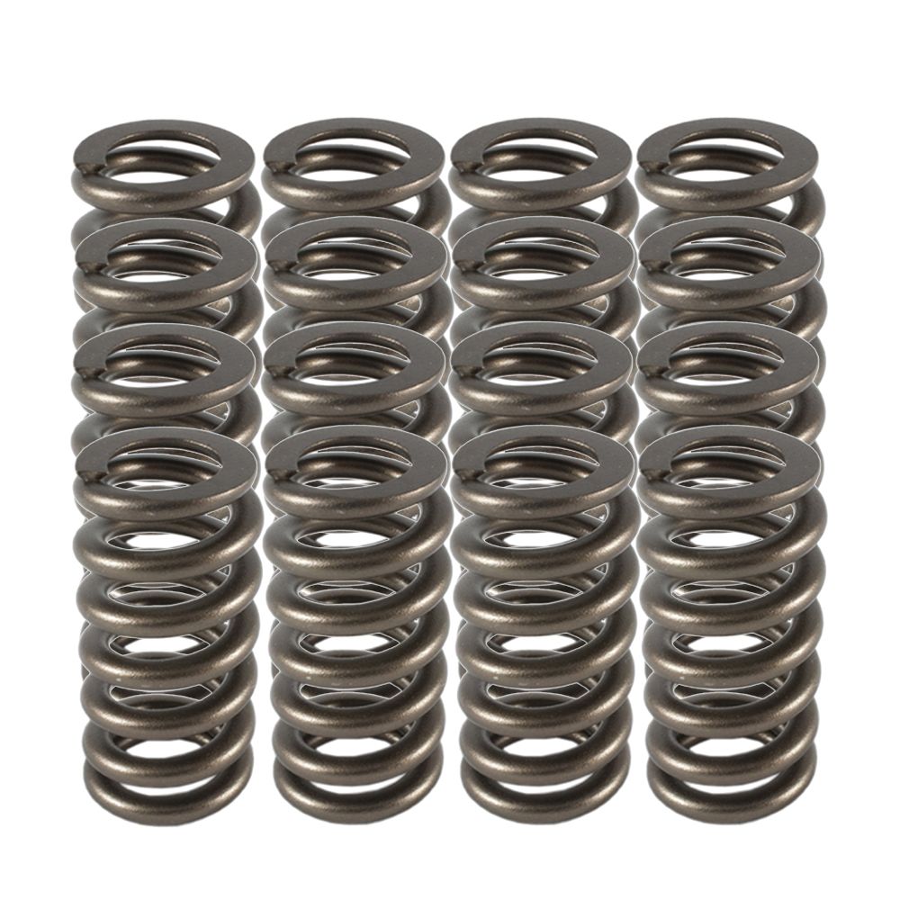 PAC RACING SPRINGS1.025 Valve Springs - Ovate Beehive (16)