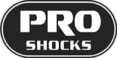 PRO SHOCKPro Shock Street 2019
