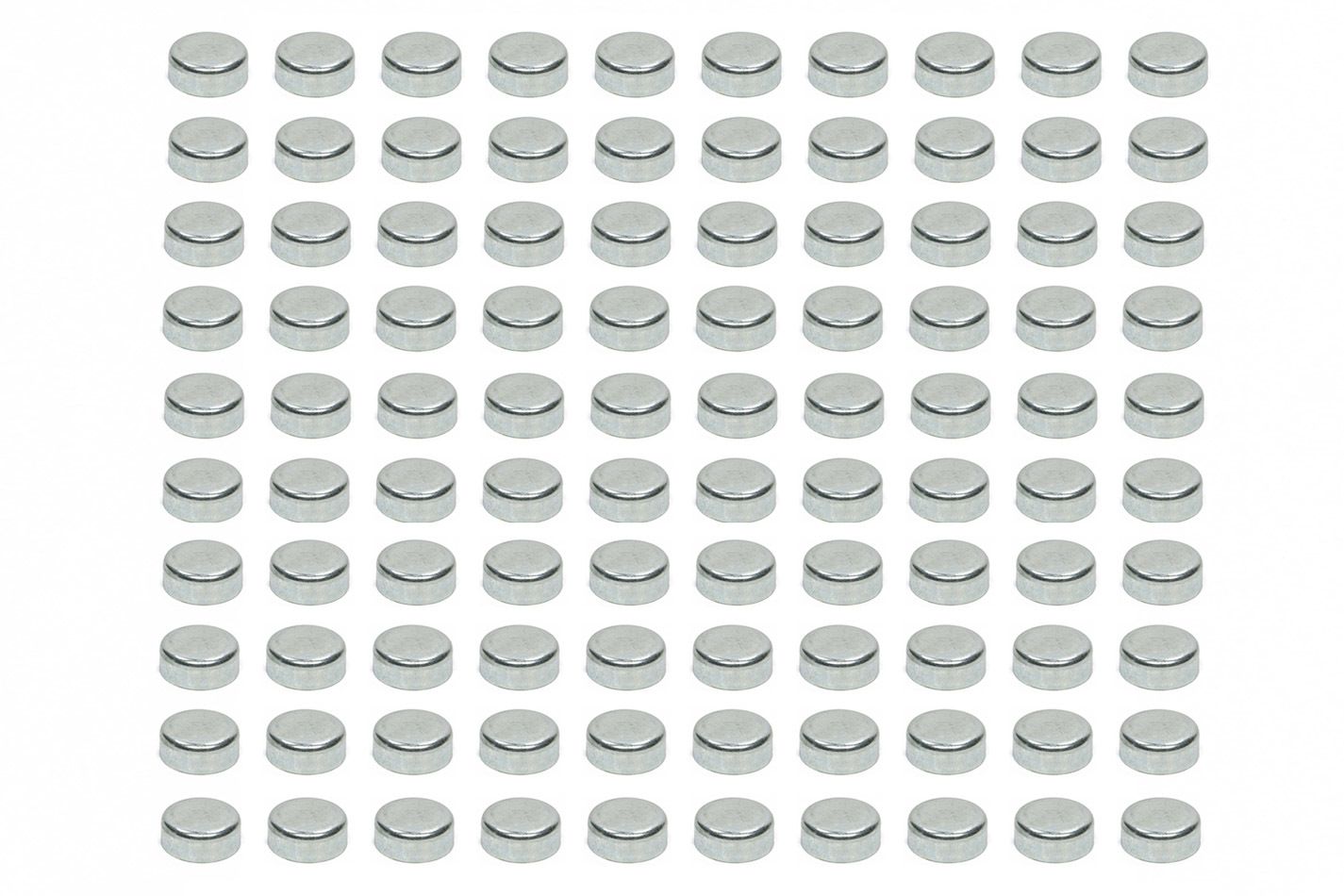 PIONEERExpansion Plugs-100pk 1.508 Dia x .625 Height