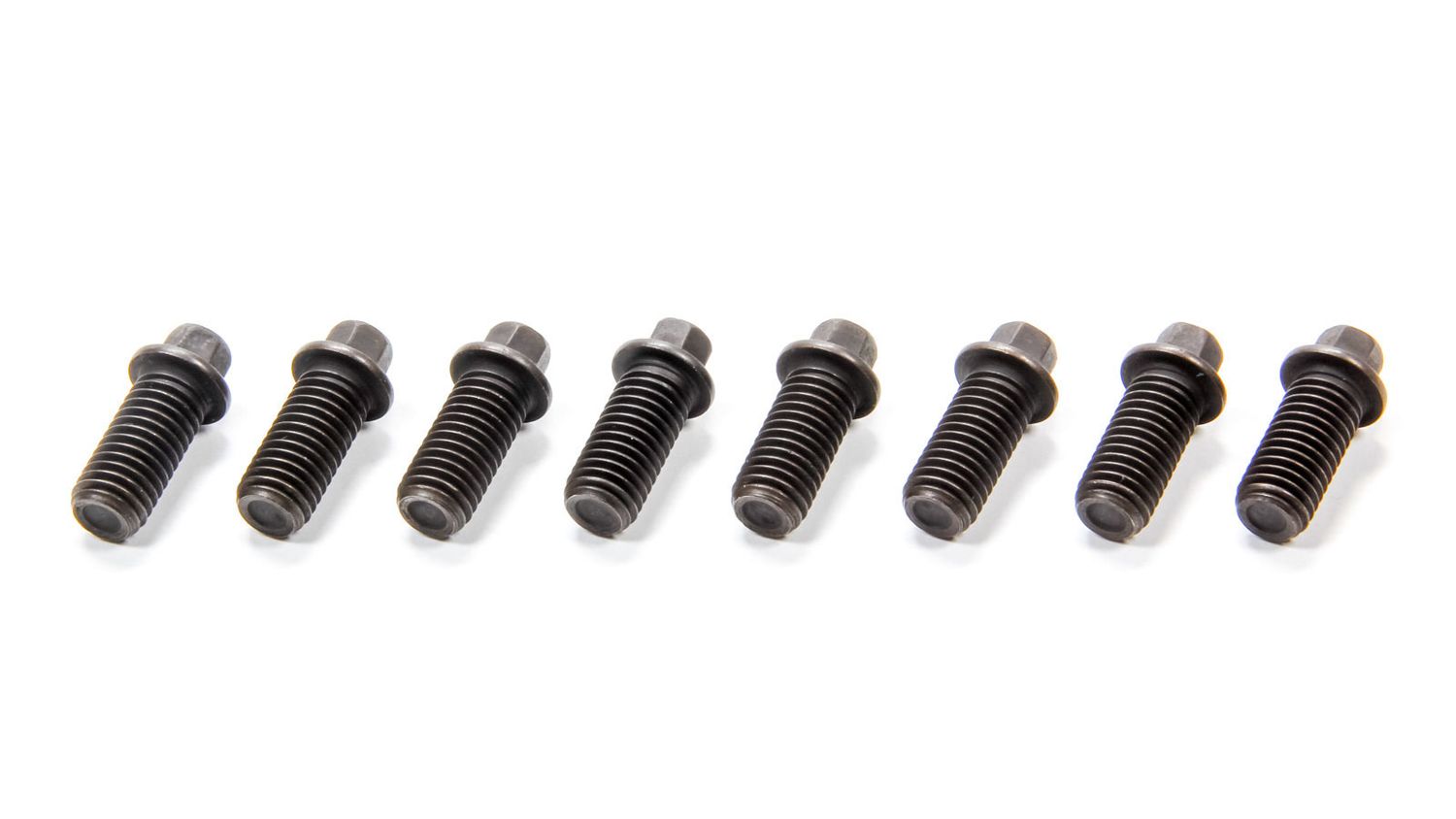 SCHOENFELDHeader Bolt 10mm x 22mm Pinto 8pk