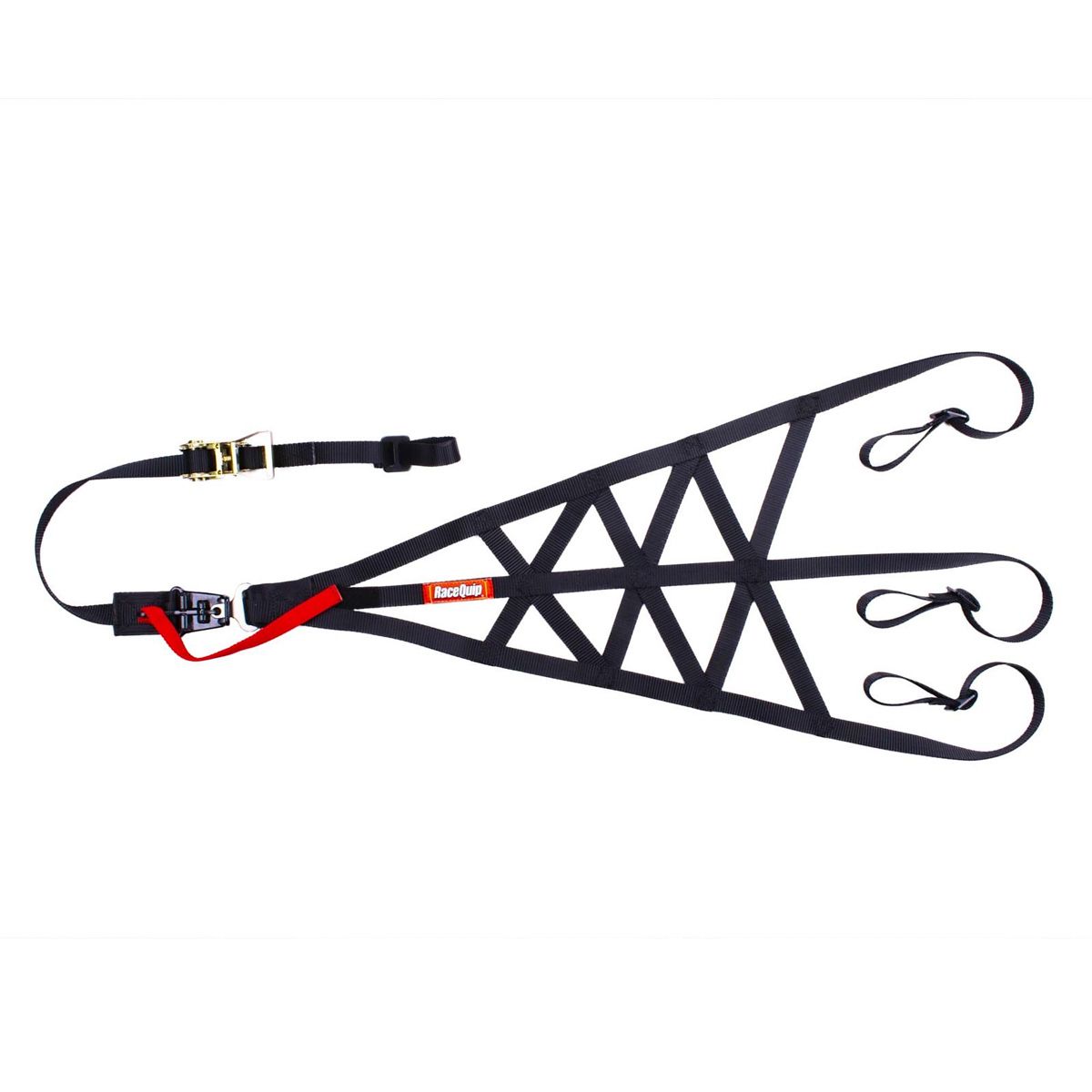 RACEQUIPRollcage Net Side Black SFI 37.1