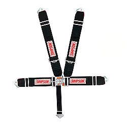 SIMPSON SAFETY5-PT Harness System FX P/D B/I Ind 62in