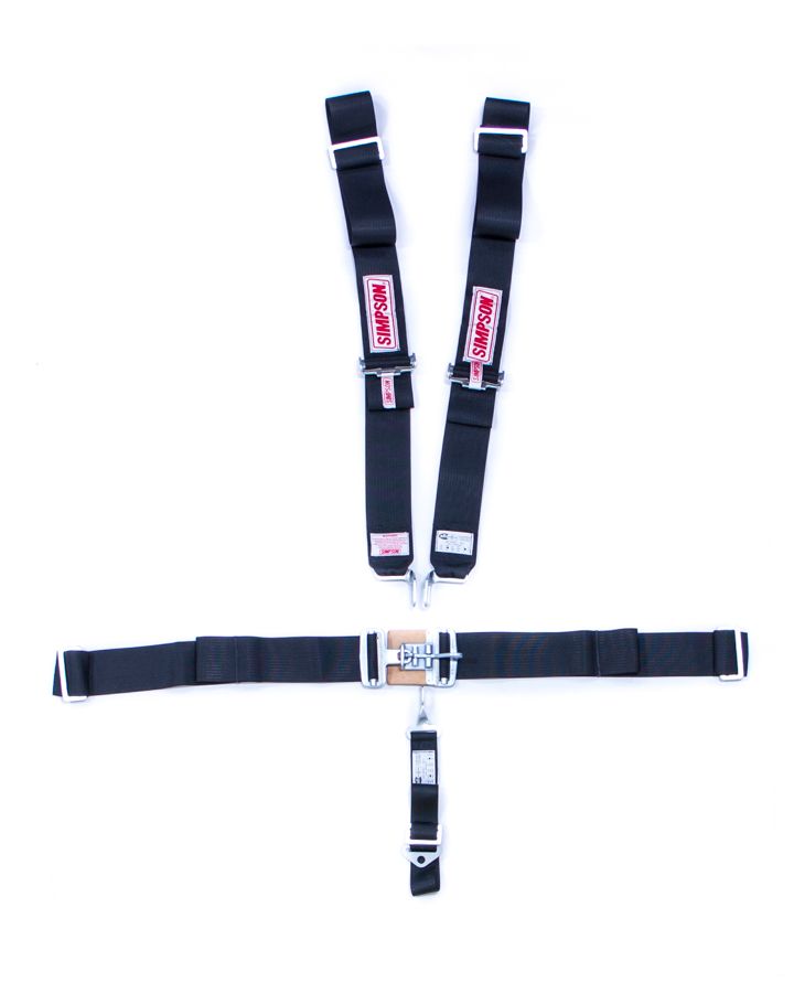 SIMPSON SAFETY5-PT Harness System FX P/D W/A Ind 62in