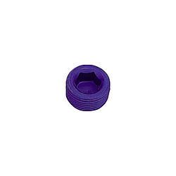 XRP-XTREME RACING PROD.3/4 Pipe Plug (Allen)