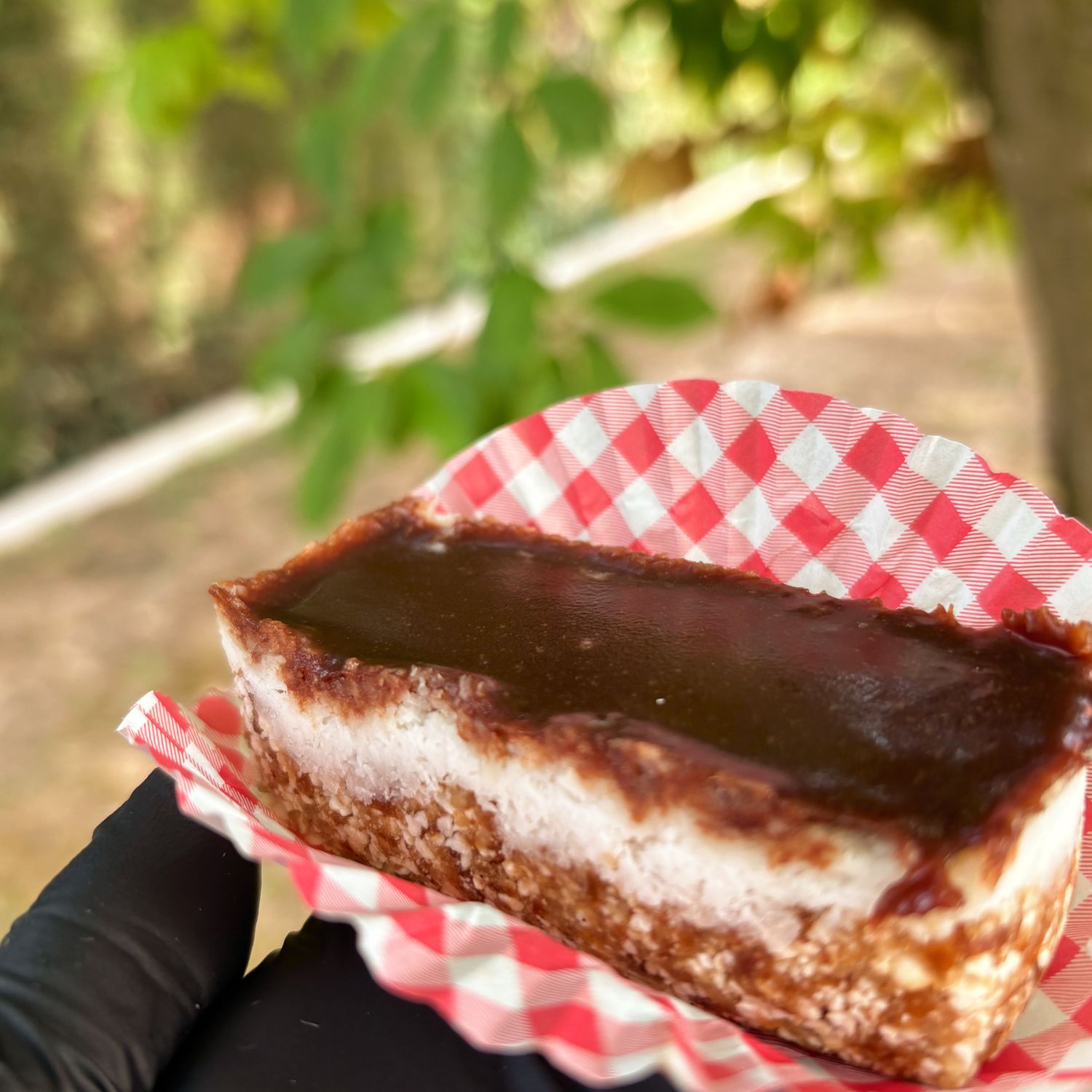 Vegan Bounty bites |  6st