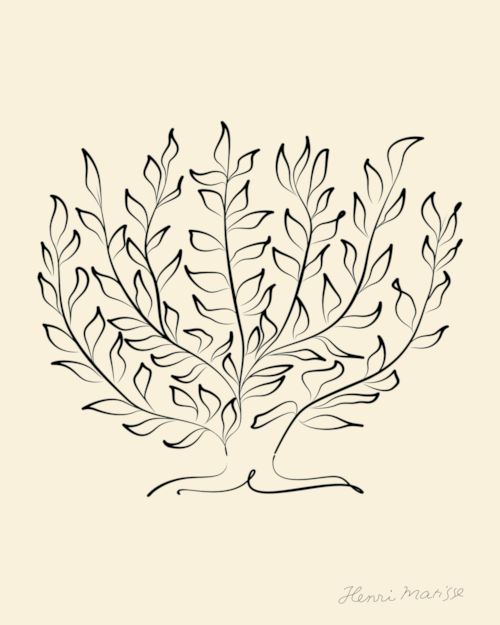 Plakat Matisse Botanical Line Art