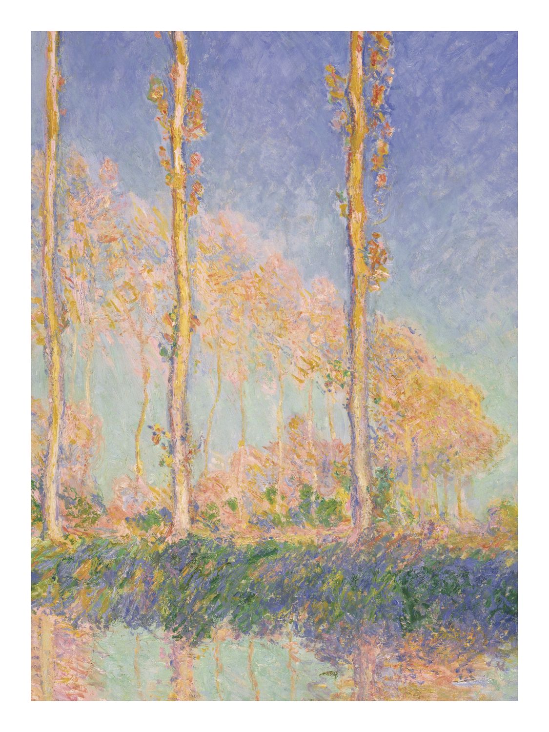 Plakat Monet Poplars