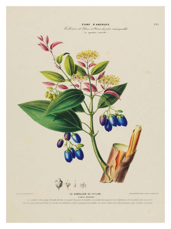 Plakat Flore I