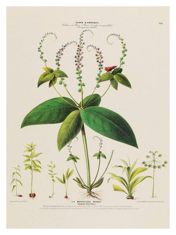 Plakat Flore II
