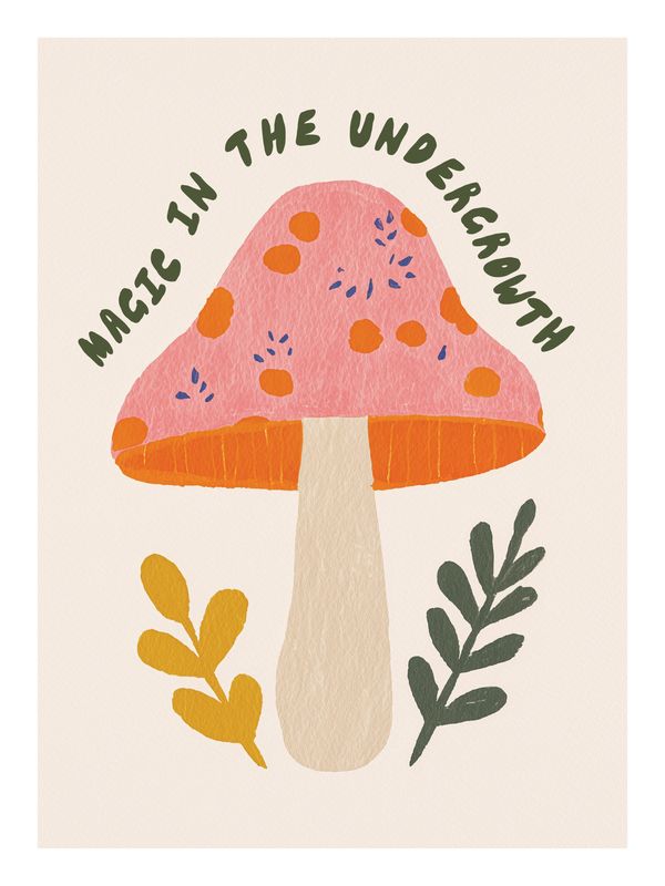 Plakat Muschroom autumn