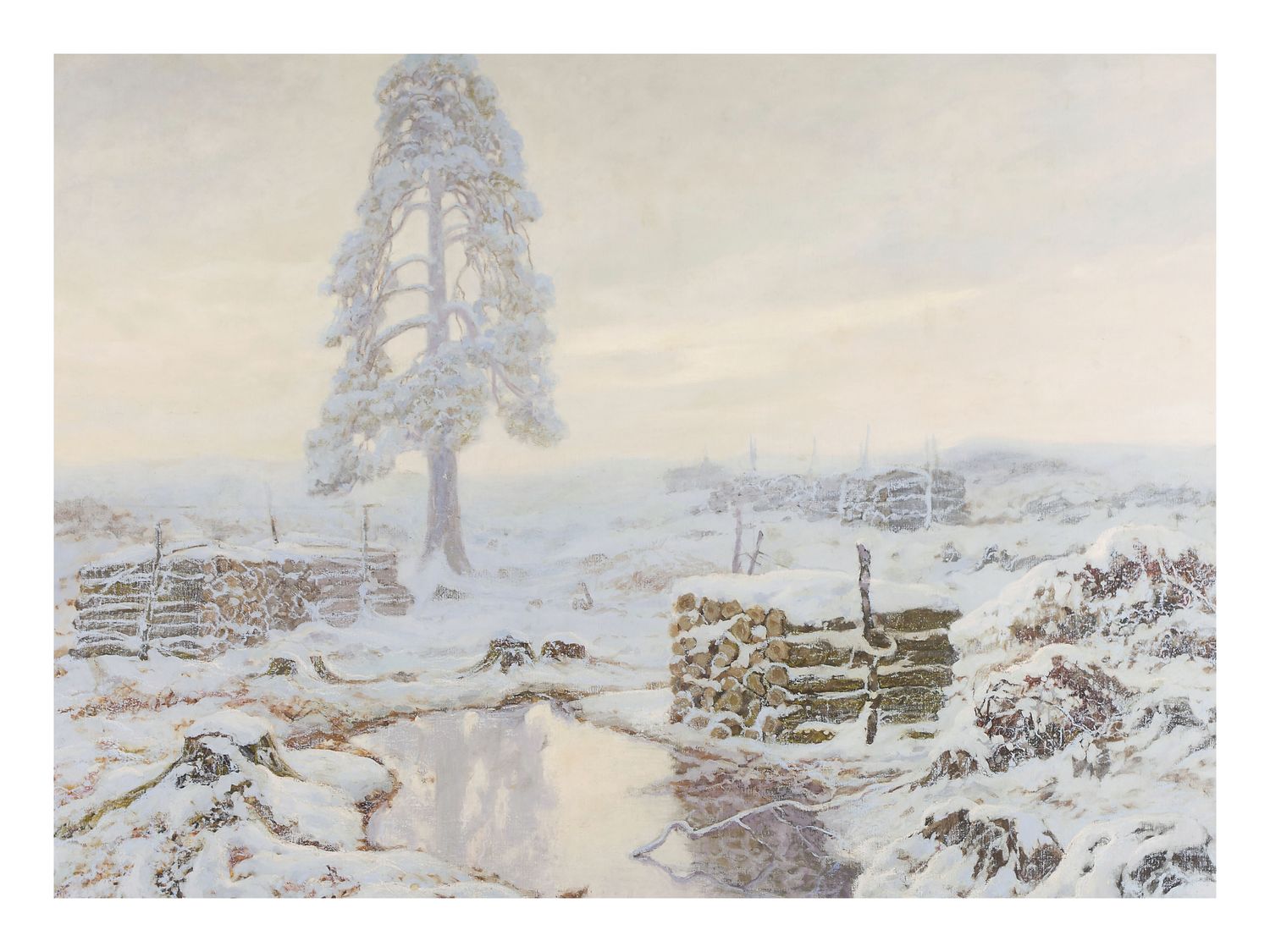 Plakat Samotne drzewo