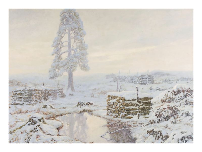 Plakat Samotne drzewo