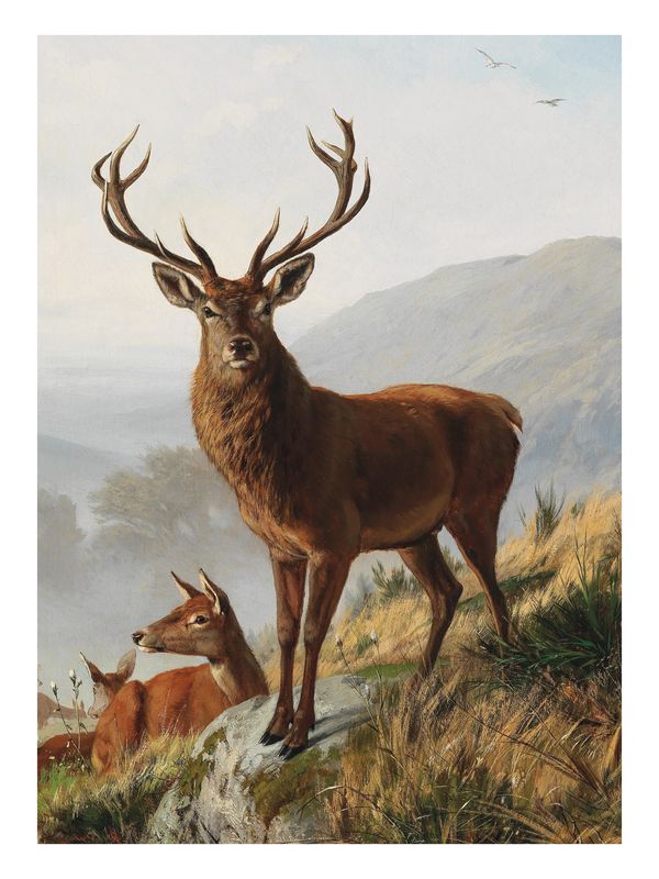 Plakat Szlachetny jeleń