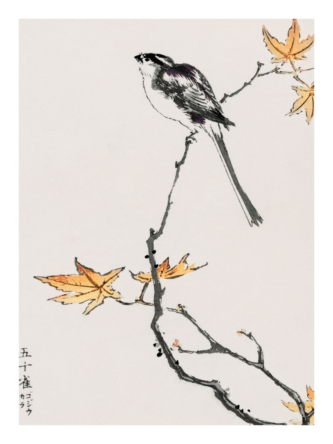 Plakat Ptak na gałęzi