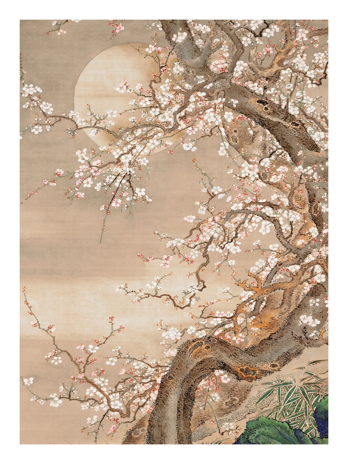 Plakat Kwitnące drzewo i księżyc