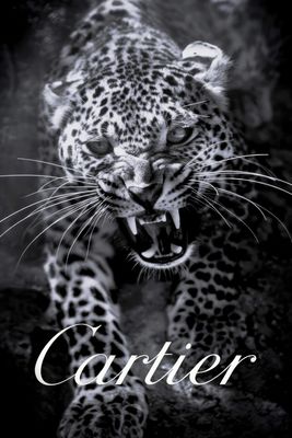 Plakat Cartier Power