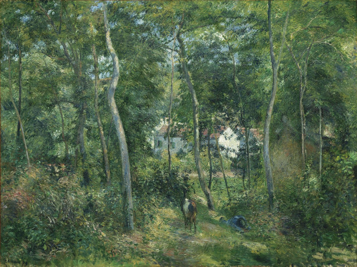 Plakat Claude Monet – Leśna ścieżka