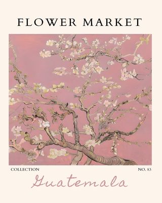 Plakat Guatemala – kwiat wiśni | Artystyczny plakat do salonu