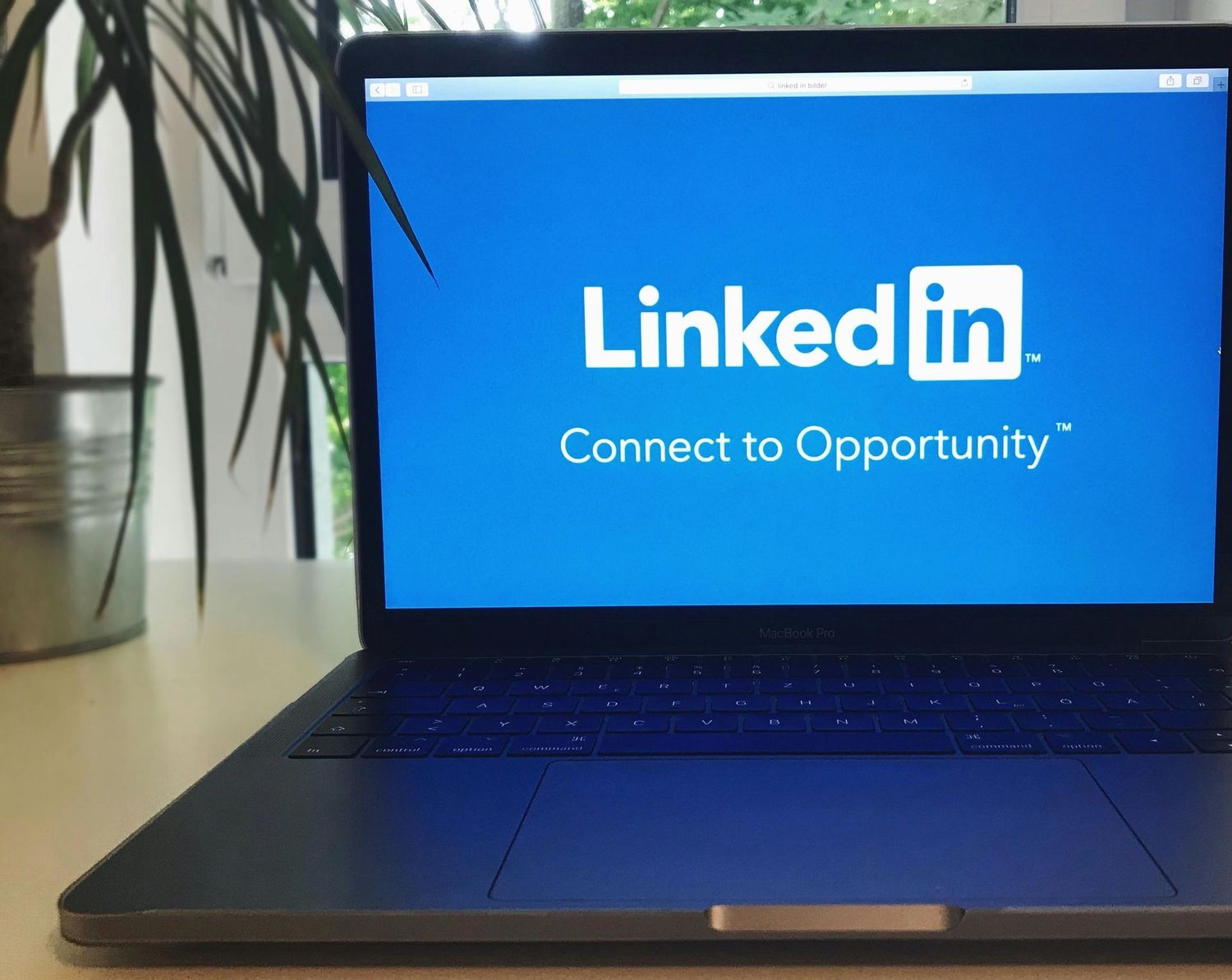 LinkedIn Profile Optimization (Mid-Career)