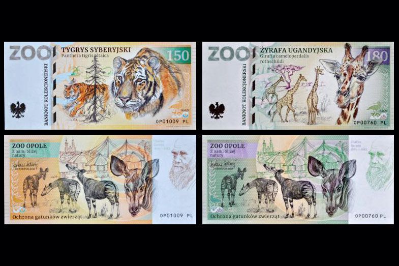 ZOO Opole - zestaw (2022)