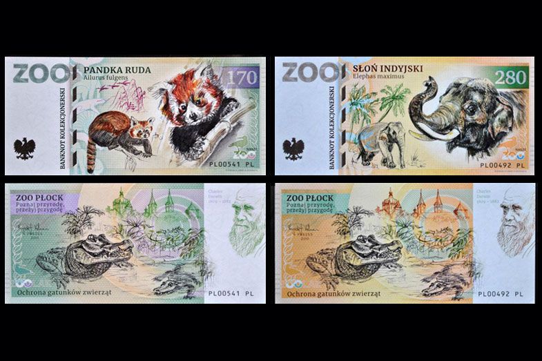 ZOO Płock - zestaw (2023)