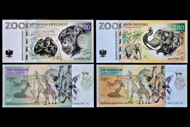 ZOO Wrocław - zestaw (2023)