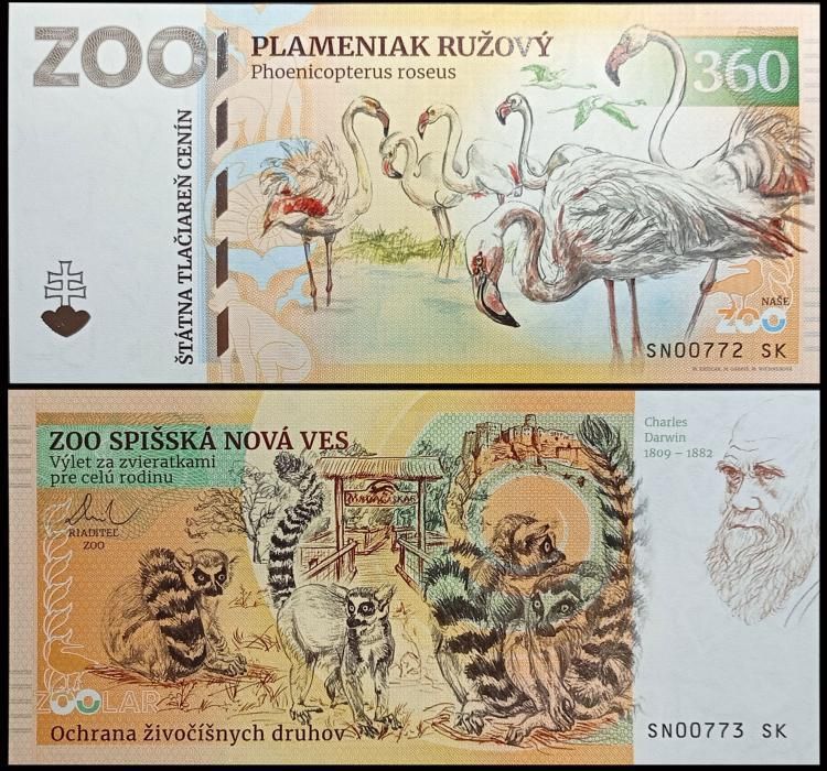 360 - Flaming - ZOO Spisska Nova Ves (2024)