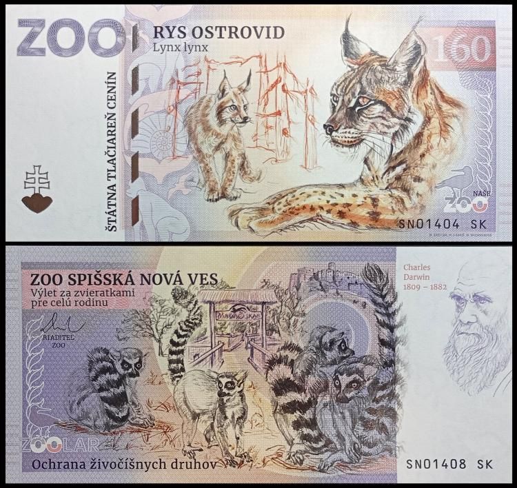 160 - Ryś euroazjatycki - ZOO Spisska Nova Ves (2024)
