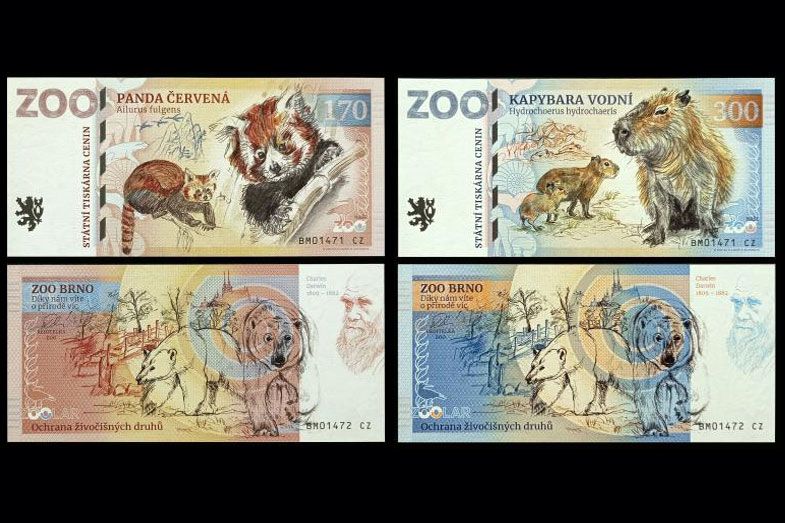 ZOO Brno - zestaw (2024)