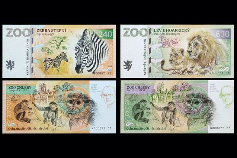 ZOO Chleby - zestaw (2024)