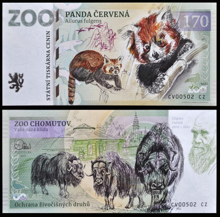 170 - Pandka ruda - ZOO Chomutov (2023)