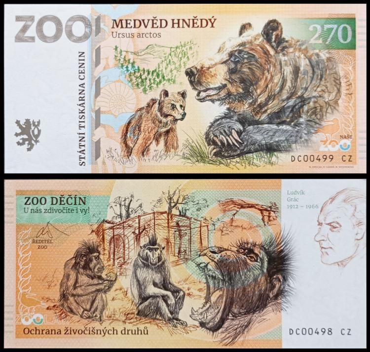 270 - Niedźwiedź brunatny - ZOO Decin (2024)