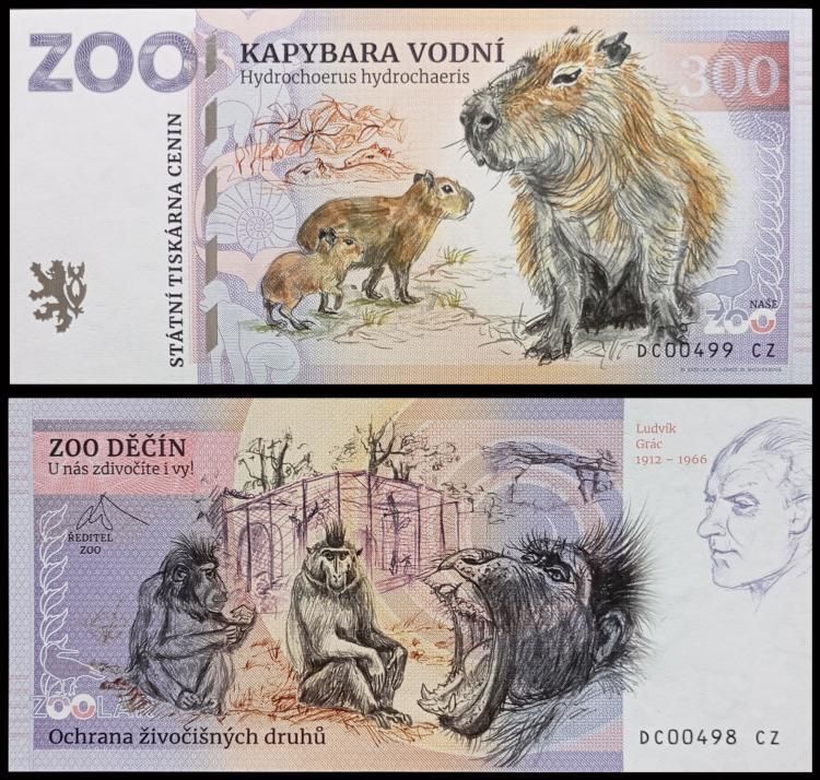 300 - Kapibara wielka - ZOO Decin (2024)