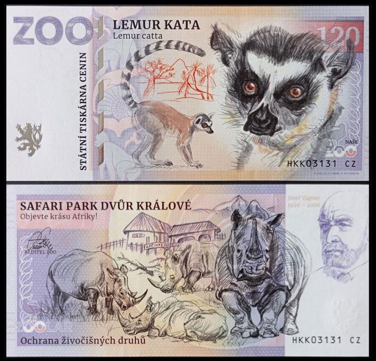 120 - Lemur katta - ZOO Dvur Kralove nad Labem (2022)