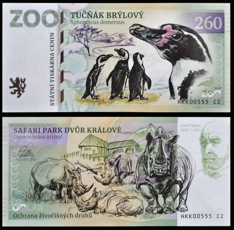 260 - Pingwin - ZOO Dvur Kralove nad Labem (2023)