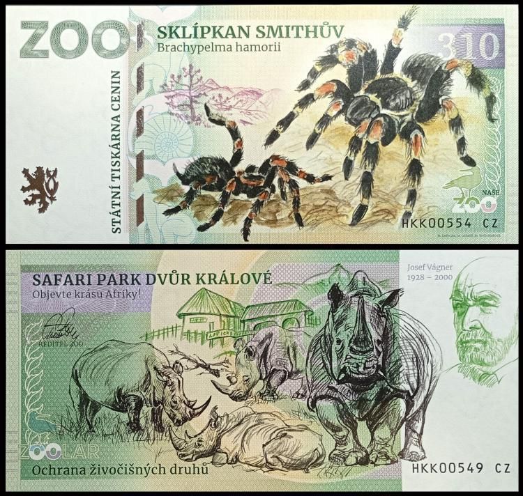 310 - Ptasznik - ZOO Dvur Kralove nad Labem (2024)